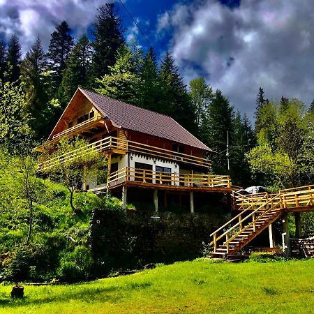 Cabana Cota 1000 Arieşeni Dış mekan fotoğraf