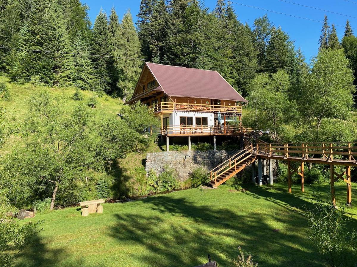 Cabana Cota 1000 Arieşeni Dış mekan fotoğraf