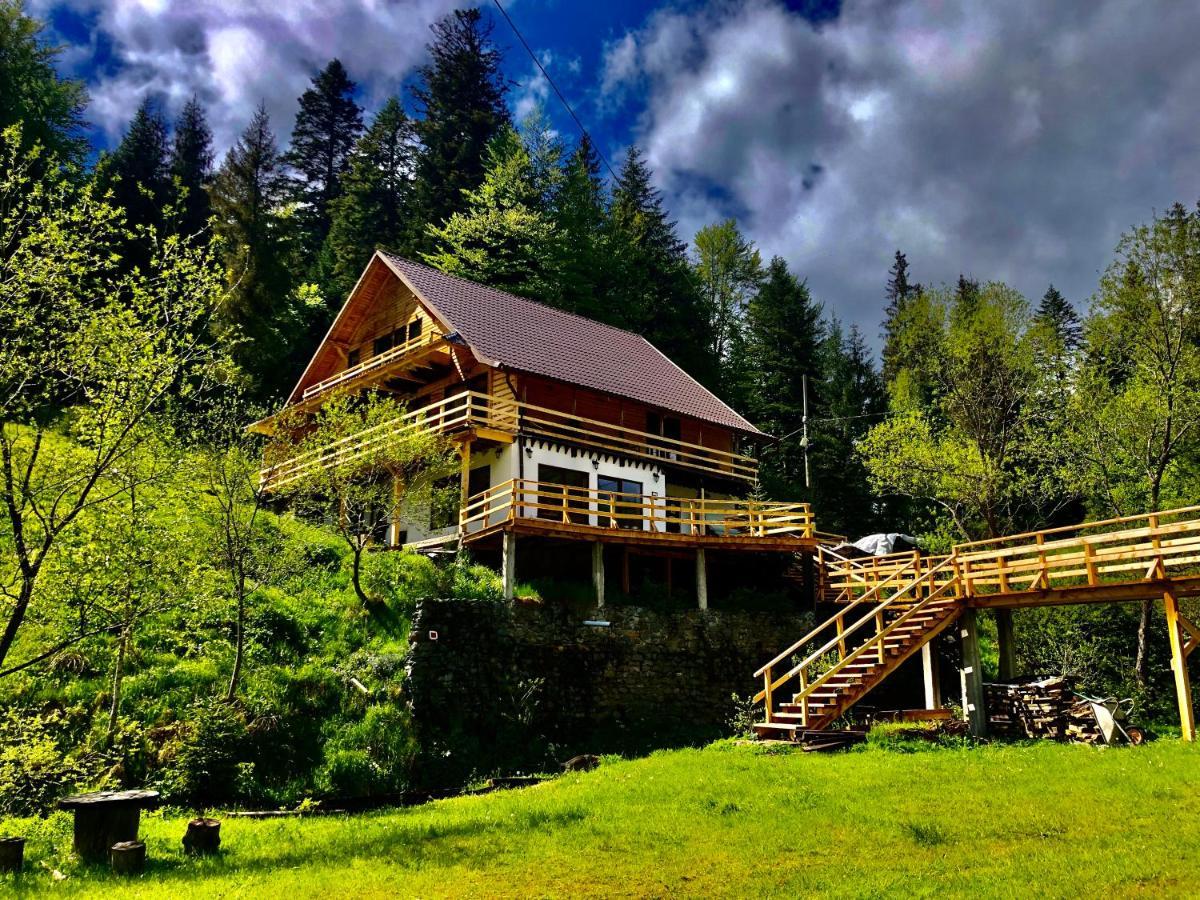 Cabana Cota 1000 Arieşeni Dış mekan fotoğraf