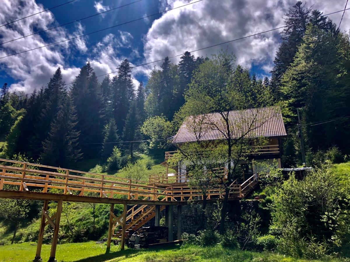 Cabana Cota 1000 Arieşeni Dış mekan fotoğraf