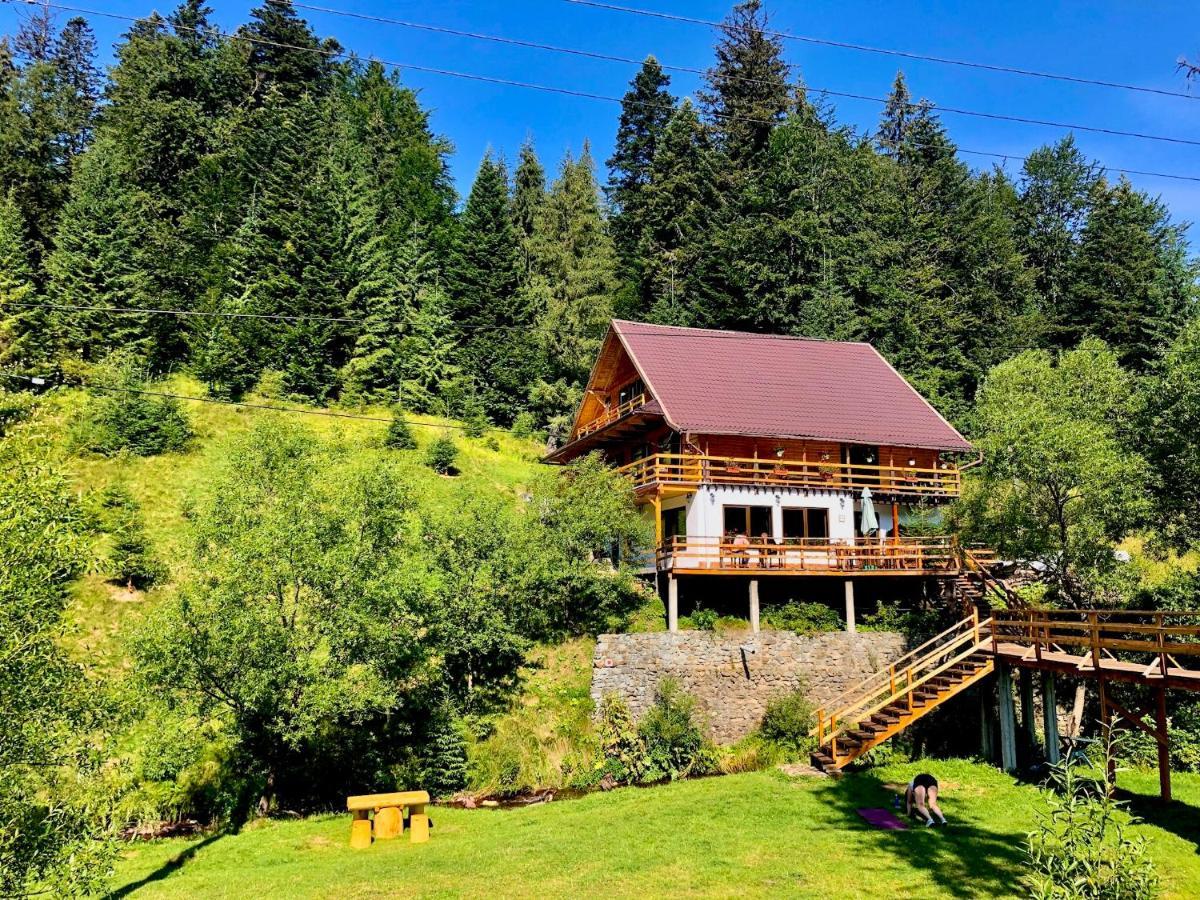 Cabana Cota 1000 Arieşeni Dış mekan fotoğraf