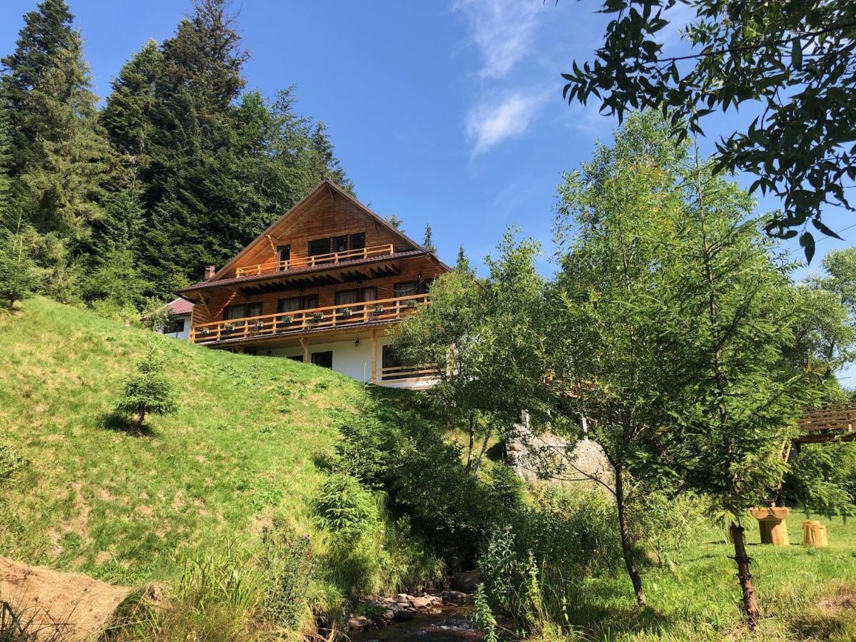 Cabana Cota 1000 Arieşeni Dış mekan fotoğraf