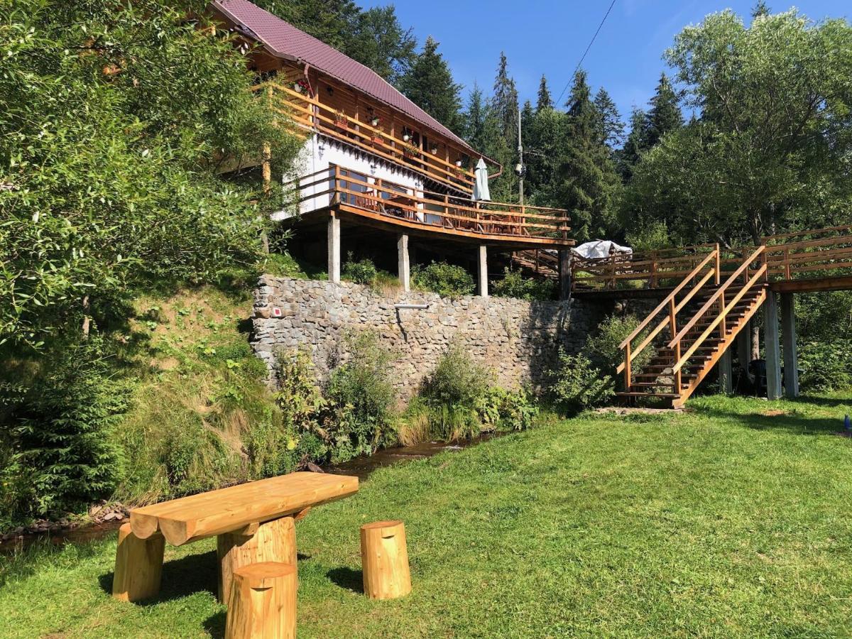 Cabana Cota 1000 Arieşeni Dış mekan fotoğraf
