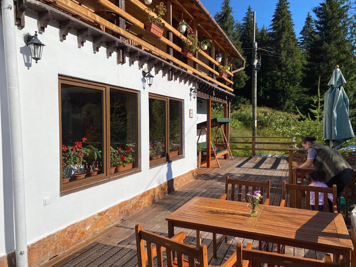Cabana Cota 1000 Arieşeni Dış mekan fotoğraf