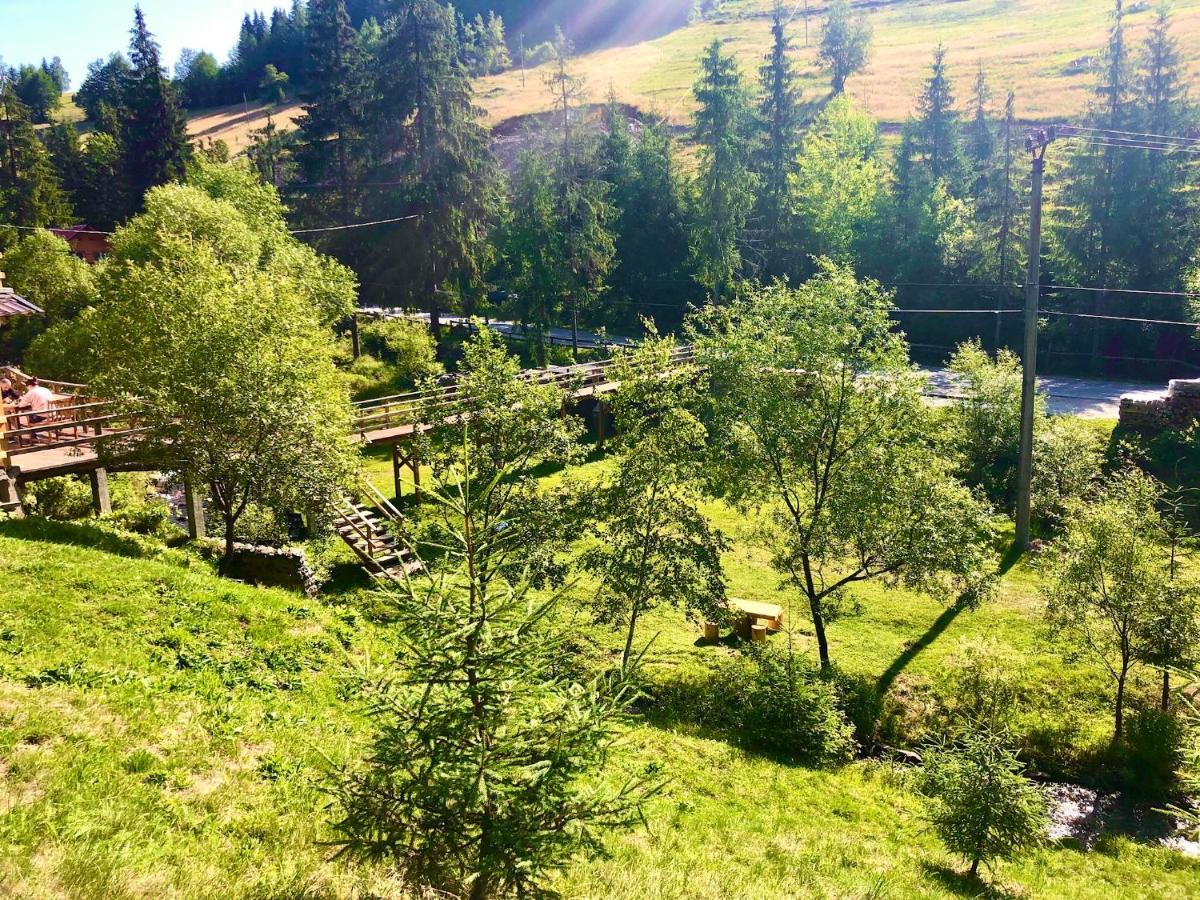 Cabana Cota 1000 Arieşeni Dış mekan fotoğraf