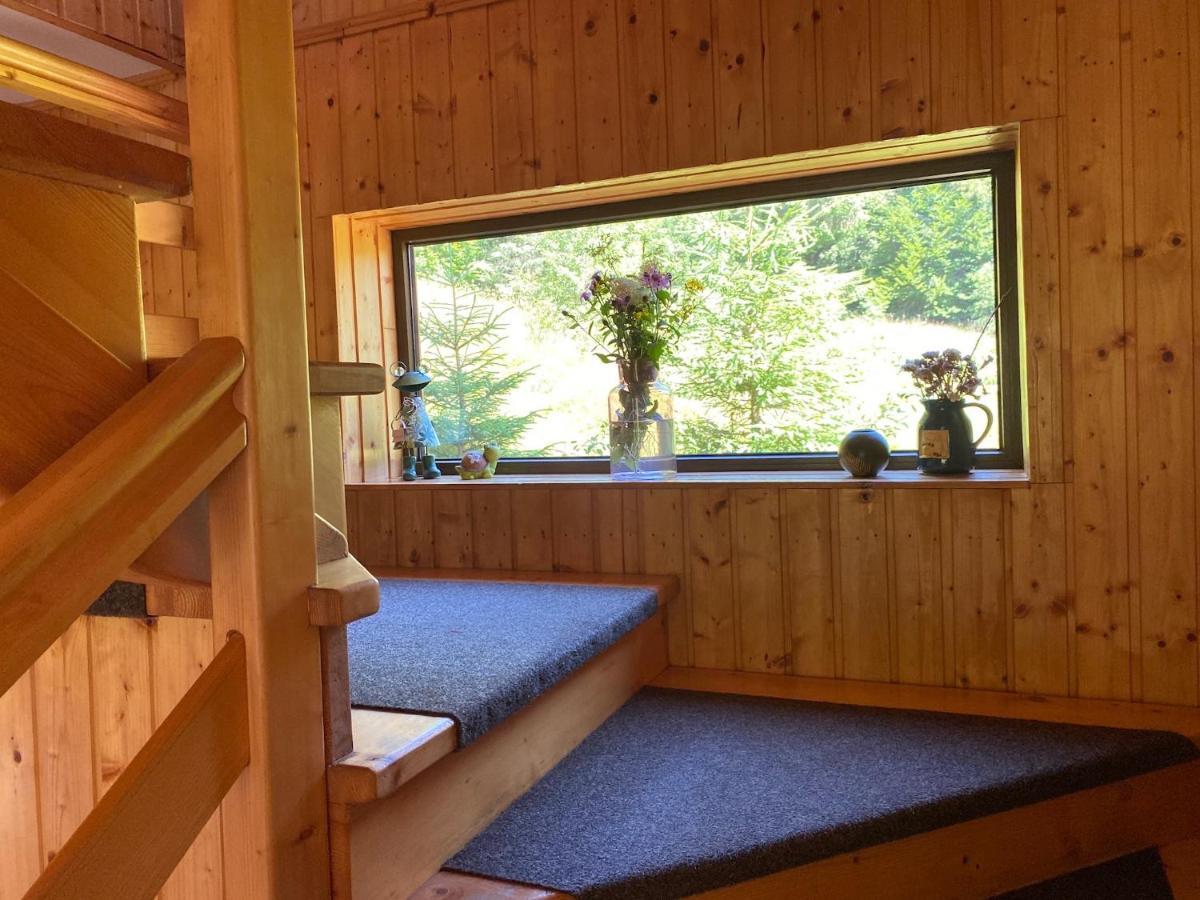 Cabana Cota 1000 Arieşeni Dış mekan fotoğraf