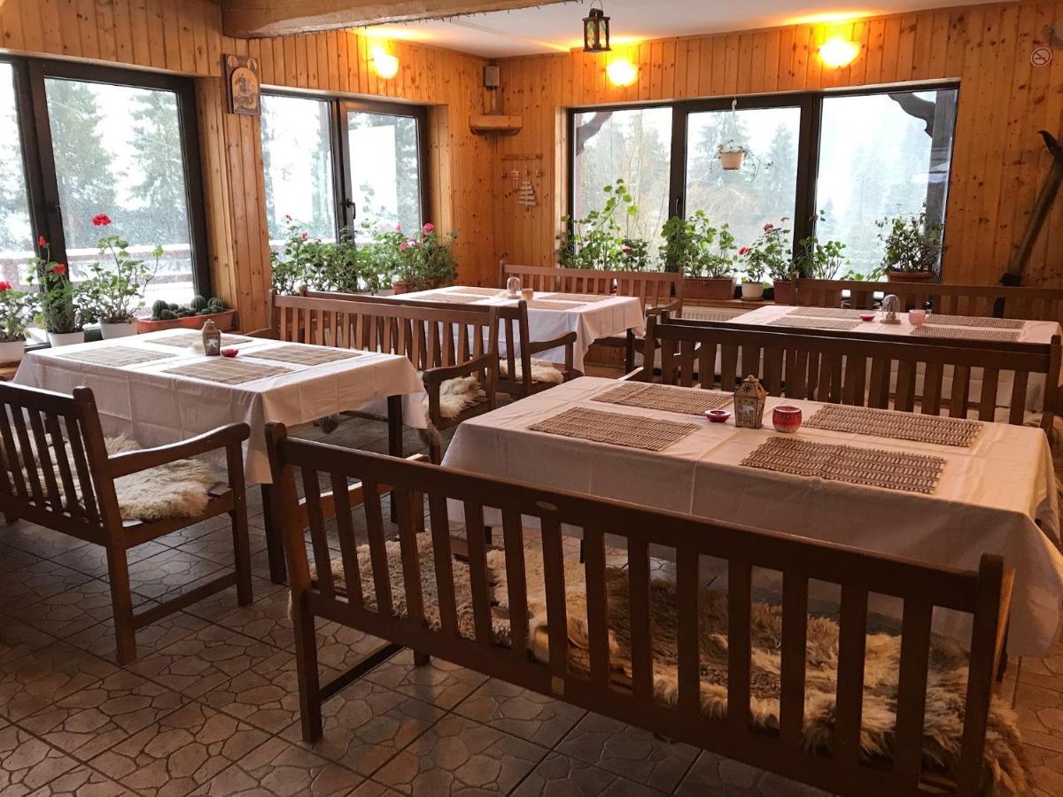 Cabana Cota 1000 Arieşeni Dış mekan fotoğraf