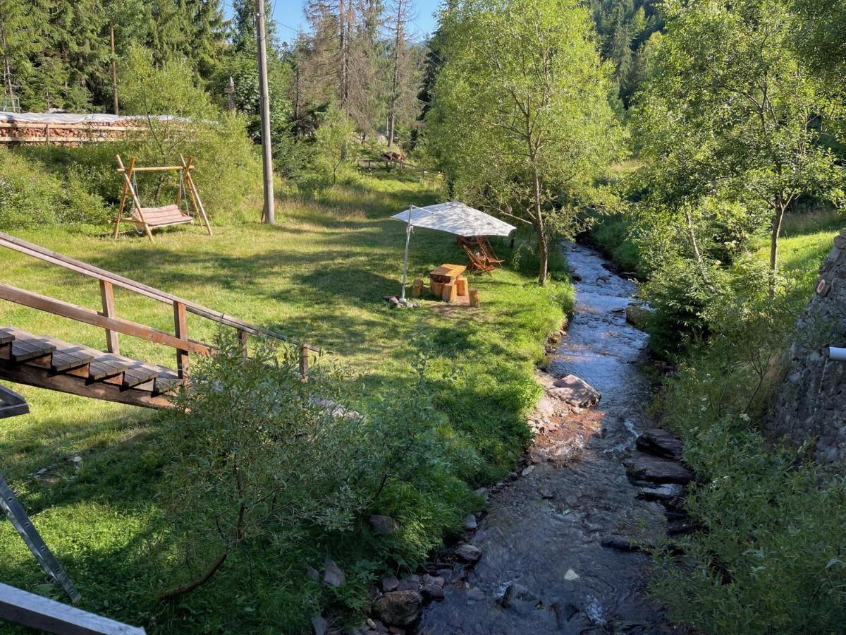 Cabana Cota 1000 Arieşeni Dış mekan fotoğraf