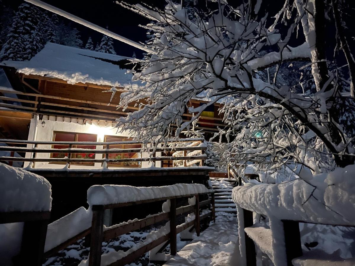 Cabana Cota 1000 Arieşeni Dış mekan fotoğraf