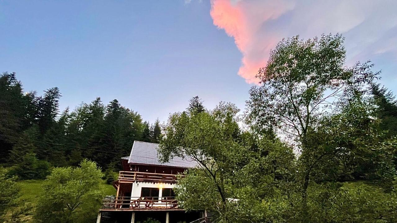 Cabana Cota 1000 Arieşeni Dış mekan fotoğraf