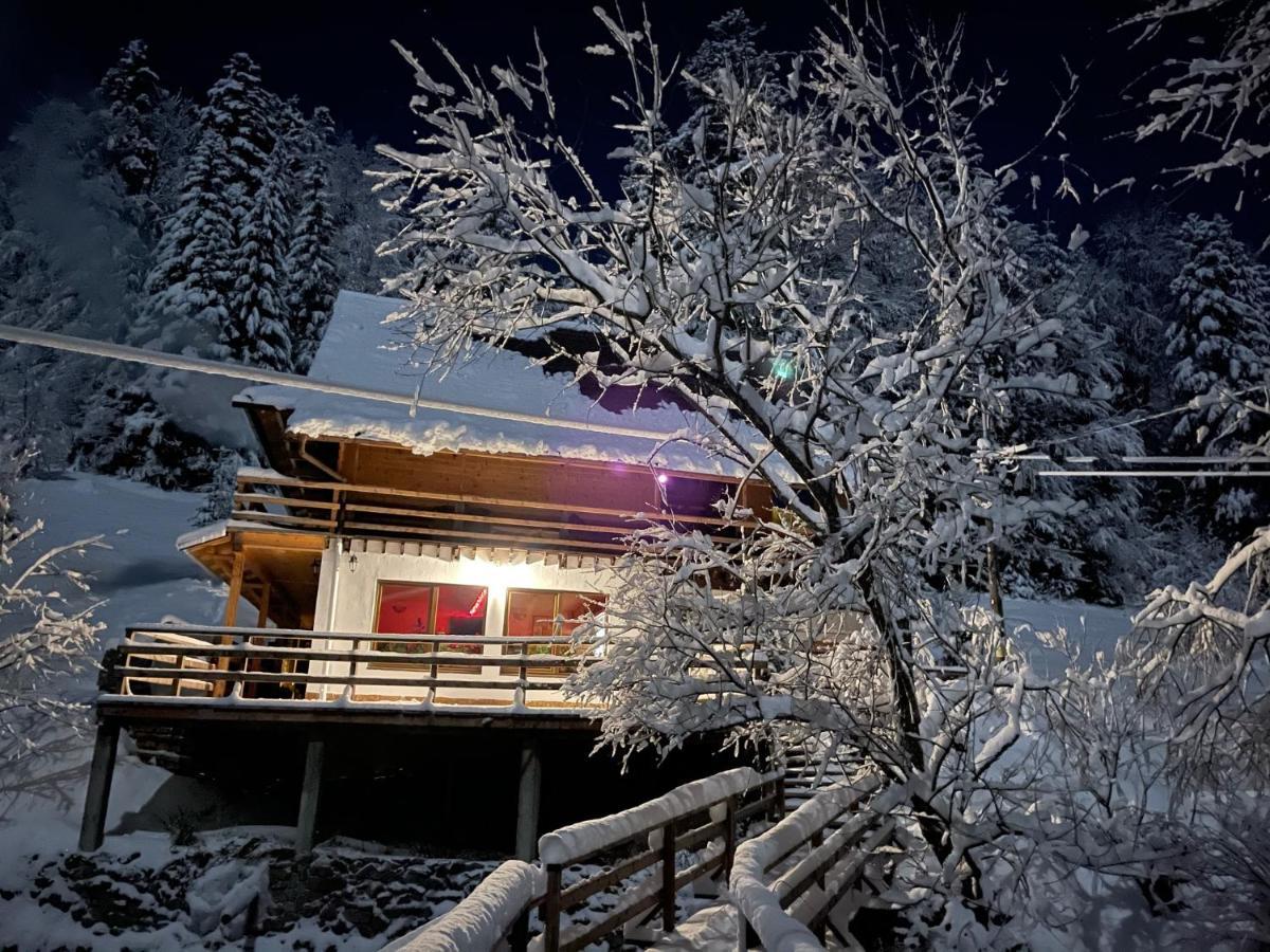 Cabana Cota 1000 Arieşeni Dış mekan fotoğraf