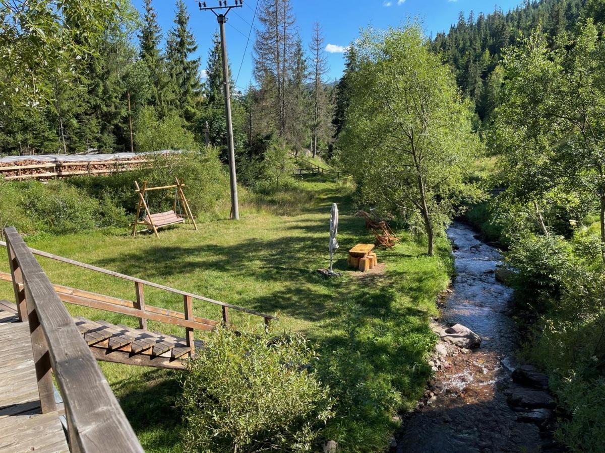Cabana Cota 1000 Arieşeni Dış mekan fotoğraf